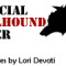 Virtual Bumper Stickers