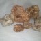Witch Stones!